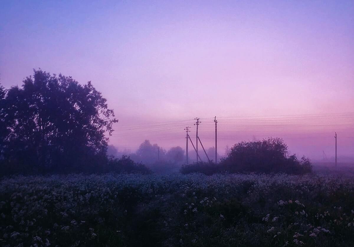 推特像校准：概率与时间管理的艺术