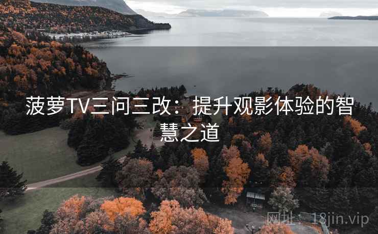 菠萝TV三问三改：提升观影体验的智慧之道