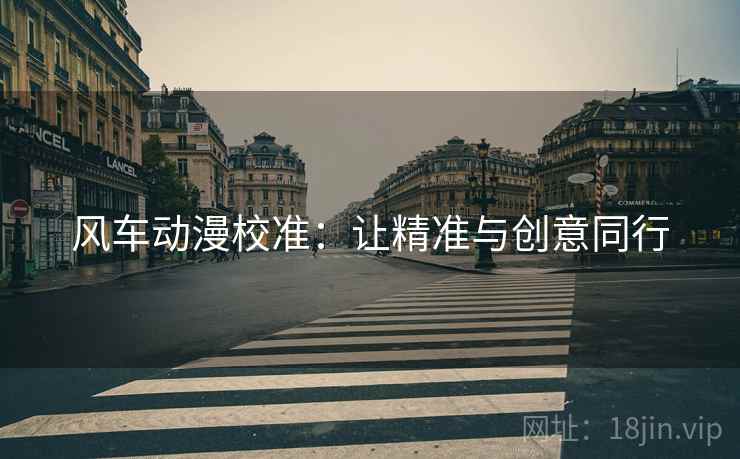 风车动漫校准：让精准与创意同行